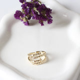 ANILLO CLAVOS